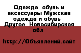 Одежда, обувь и аксессуары Мужская одежда и обувь - Другое. Новосибирская обл.